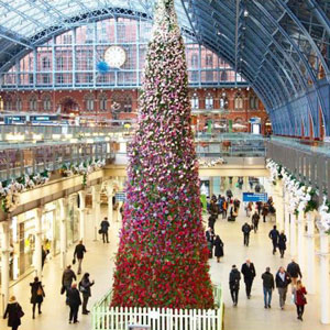 St Pancras Christmas Tree